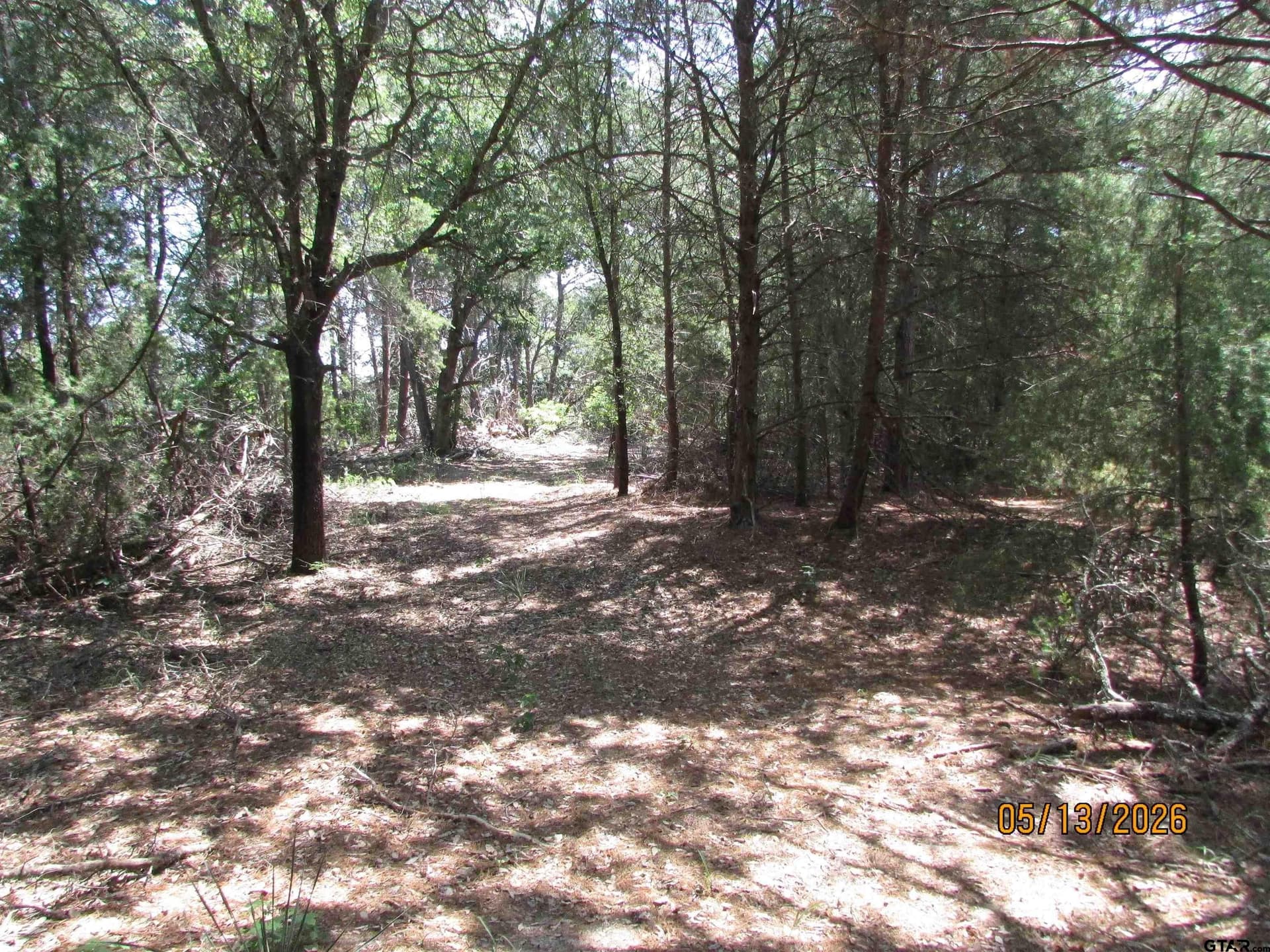 10 acres in Henderson County - photo 8