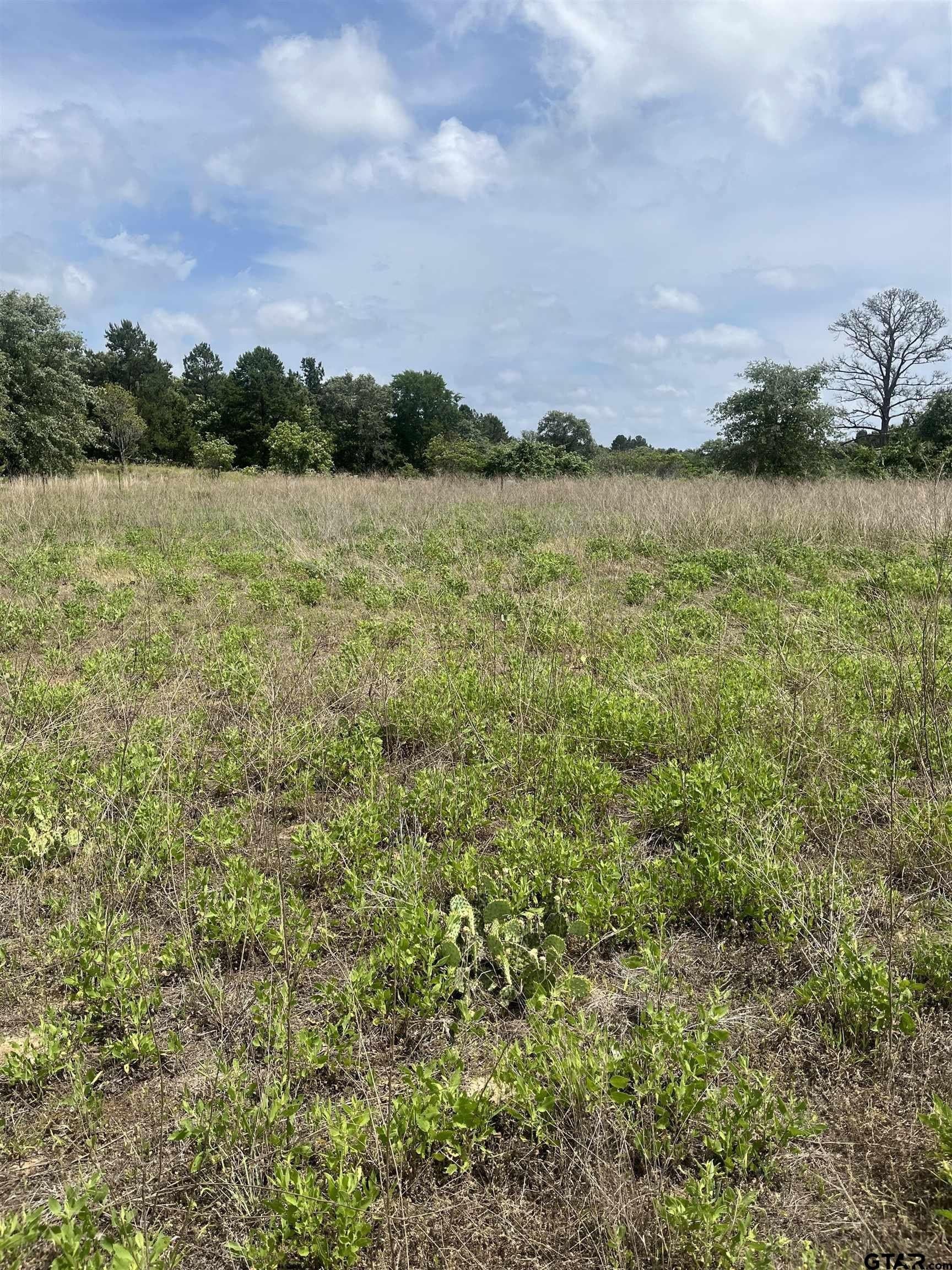 10 acres in Henderson County gallery image 3