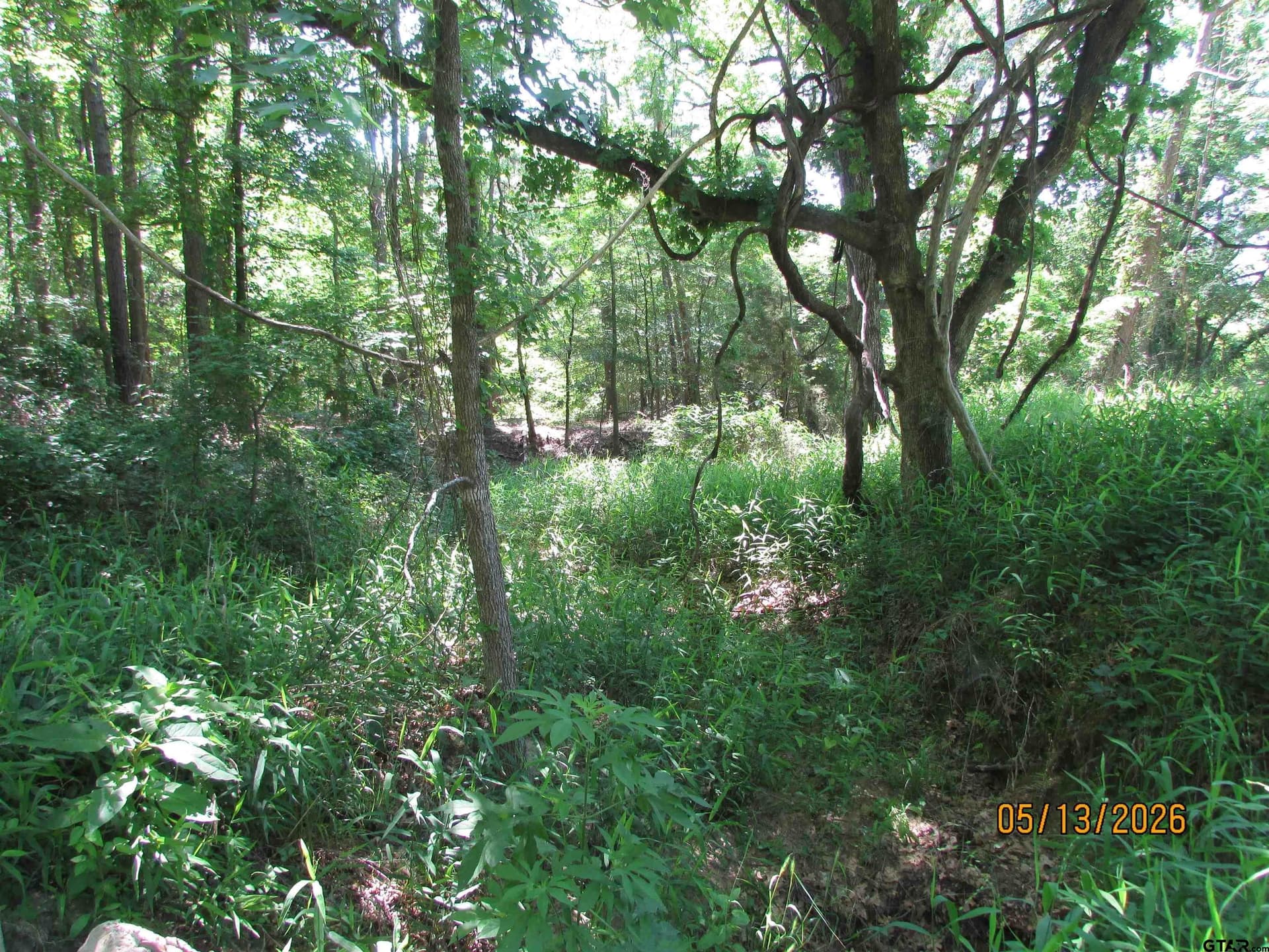10 acres in Henderson County featured view