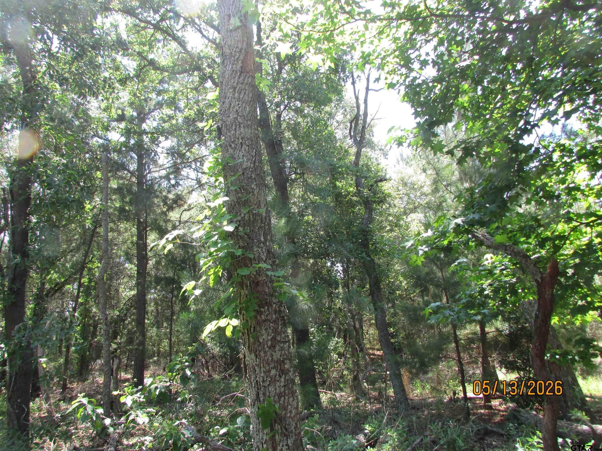 10 acres in Henderson County - photo 7