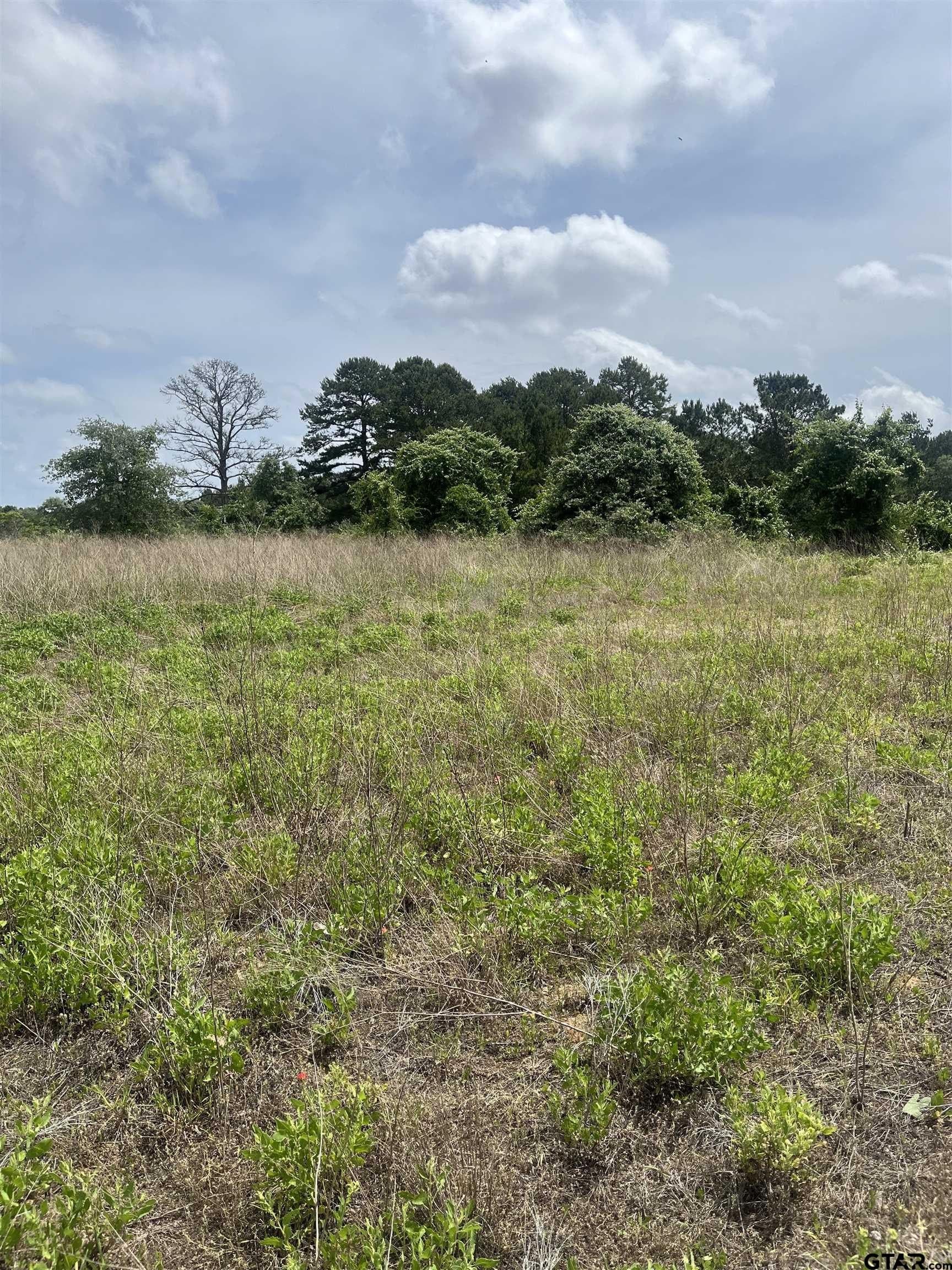 10 acres in Henderson County gallery image 4