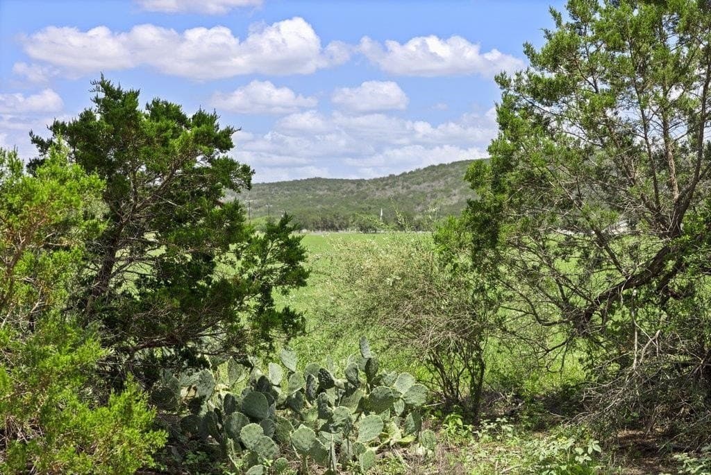 12.25 acres in Burnet County gallery image 3