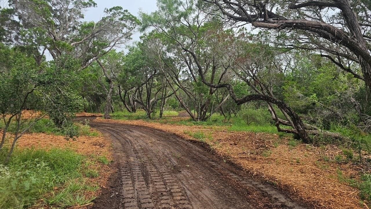 12.25 acres in Burnet County gallery image 2