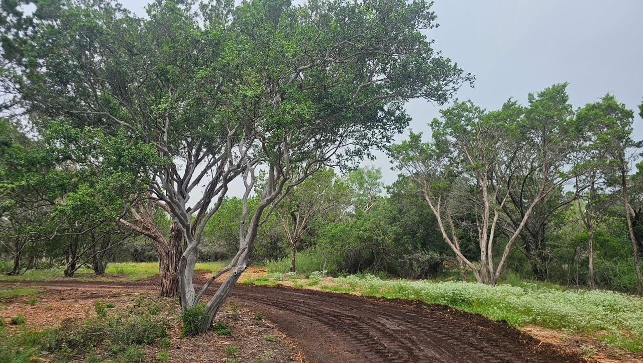 12.25 acres in Burnet County