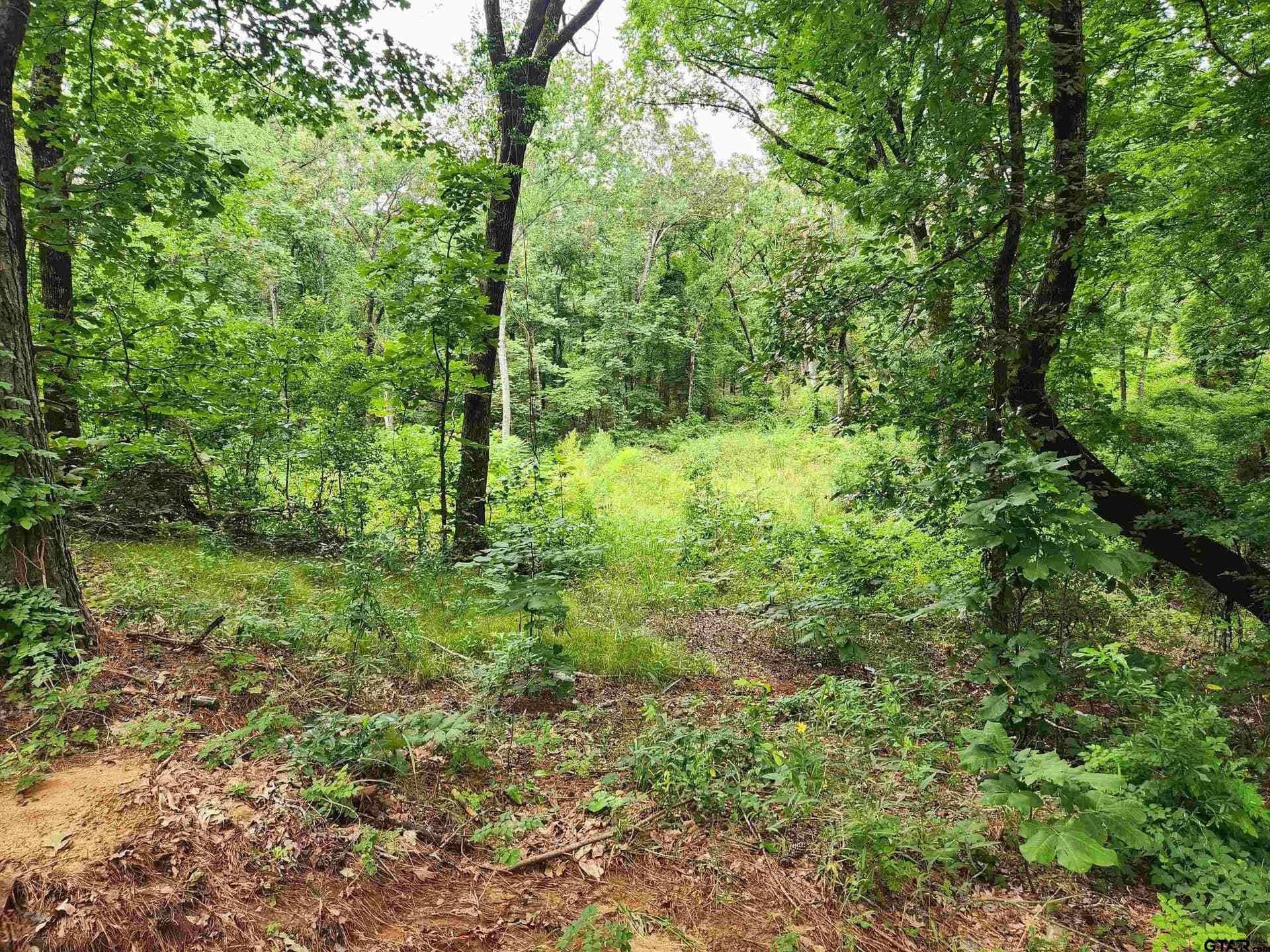 1.78 acres in Smith County