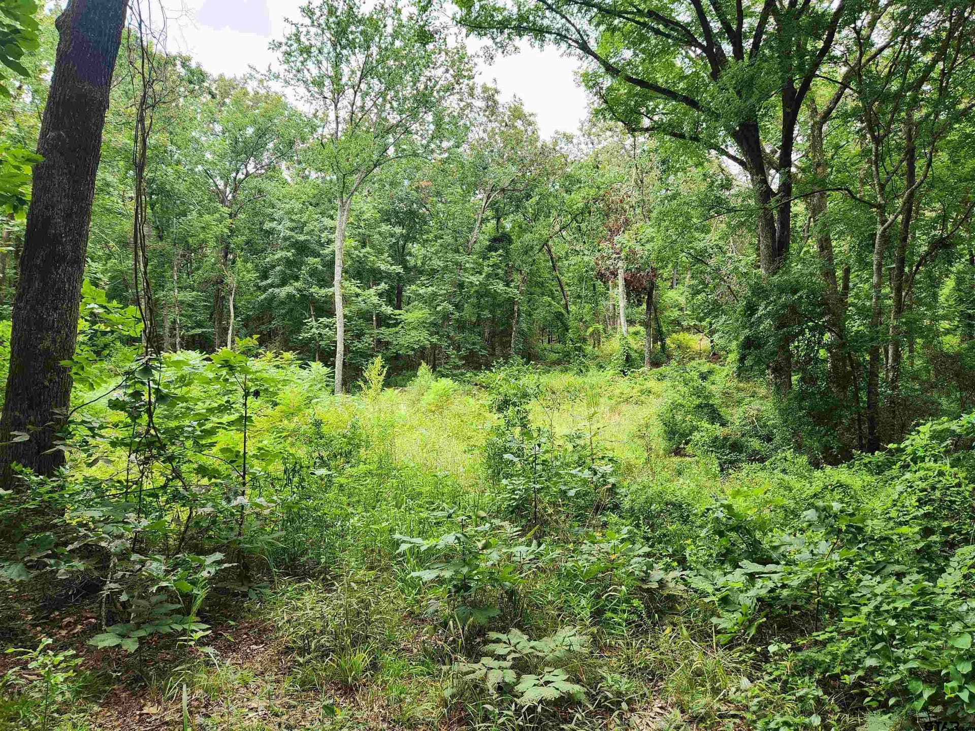 1.78 acres in Smith County gallery image 4