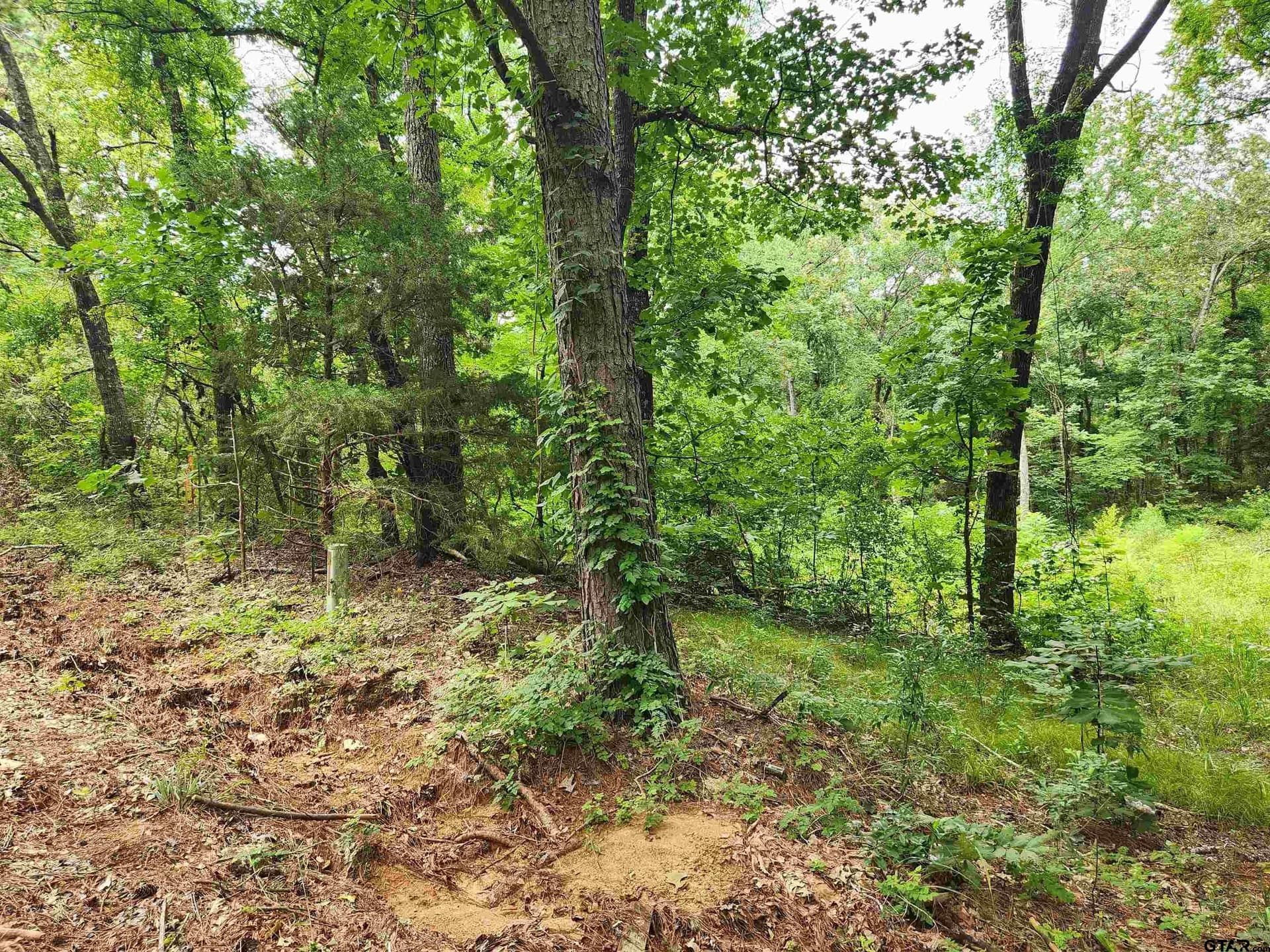 1.78 acres in Smith County gallery image 2