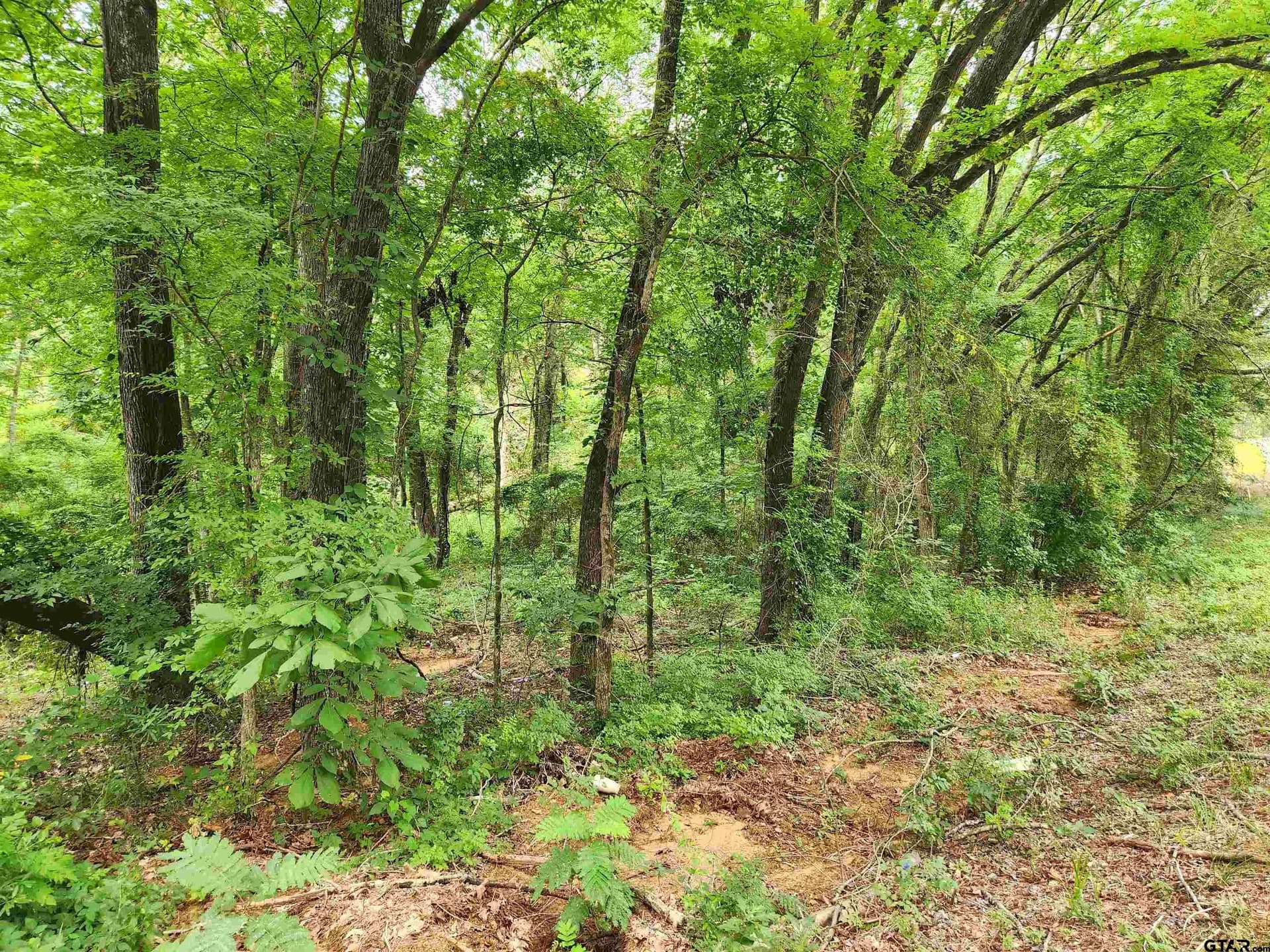 1.78 acres in Smith County gallery image 3