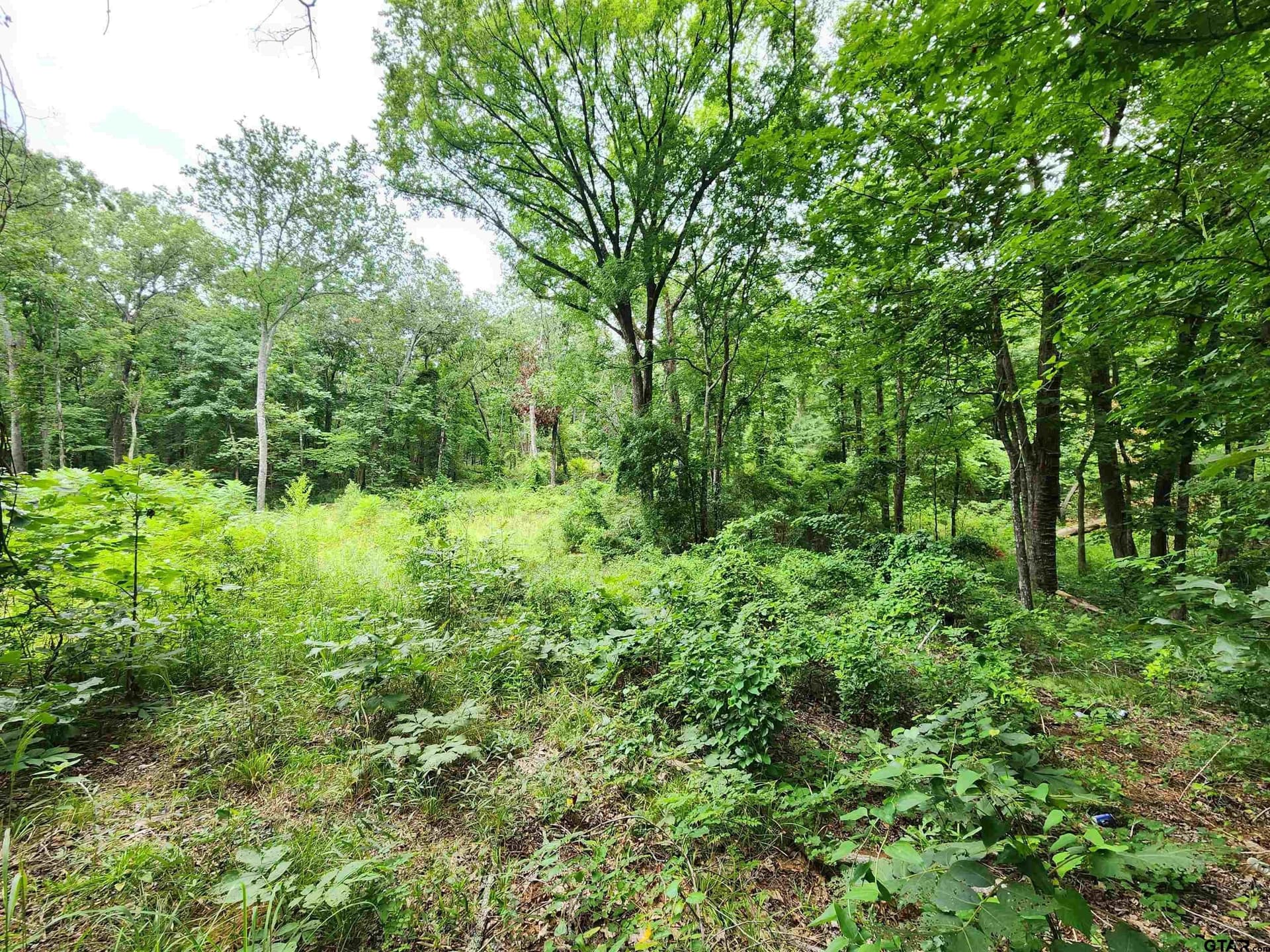 1.78 acres in Smith County featured view