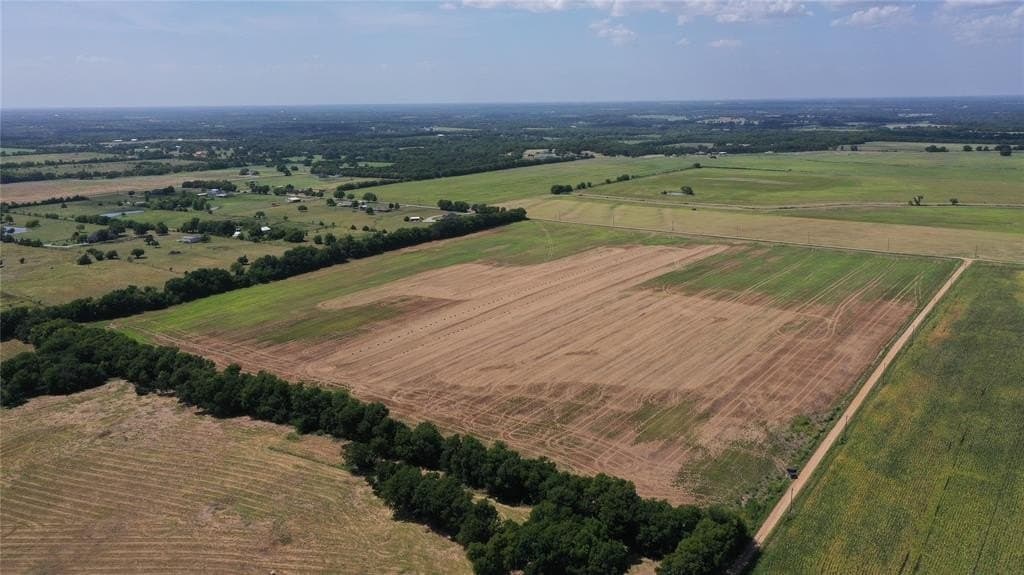 169.5 acres in Fannin County gallery image 4