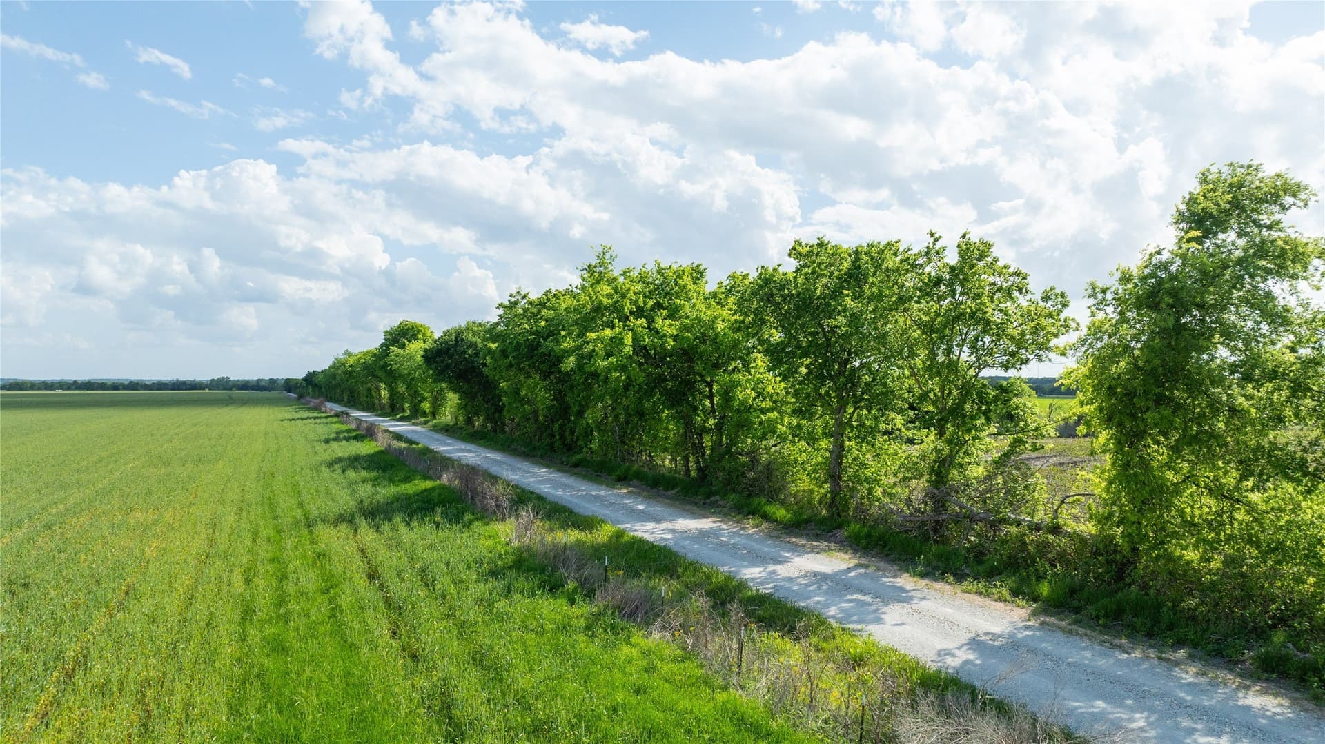 1 acres in Lamar County - photo 8