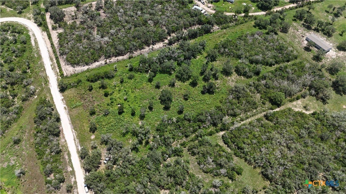 5.18 acres in Goliad County gallery image 2