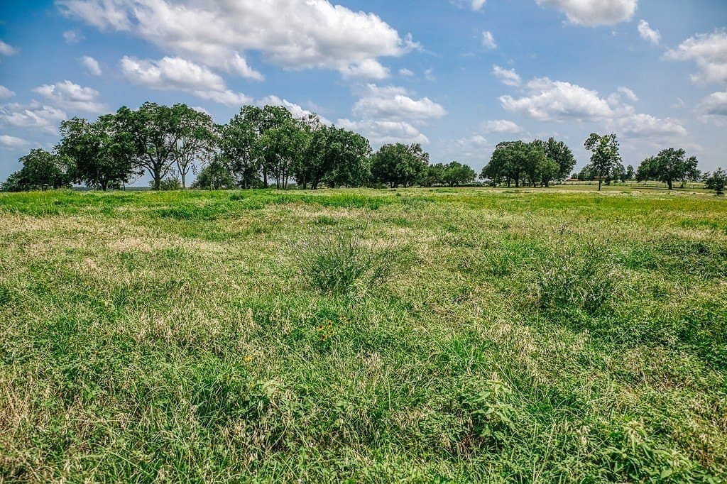 10.2 acres in Washington County - photo 5
