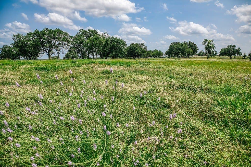 10.2 acres in Washington County - photo 6