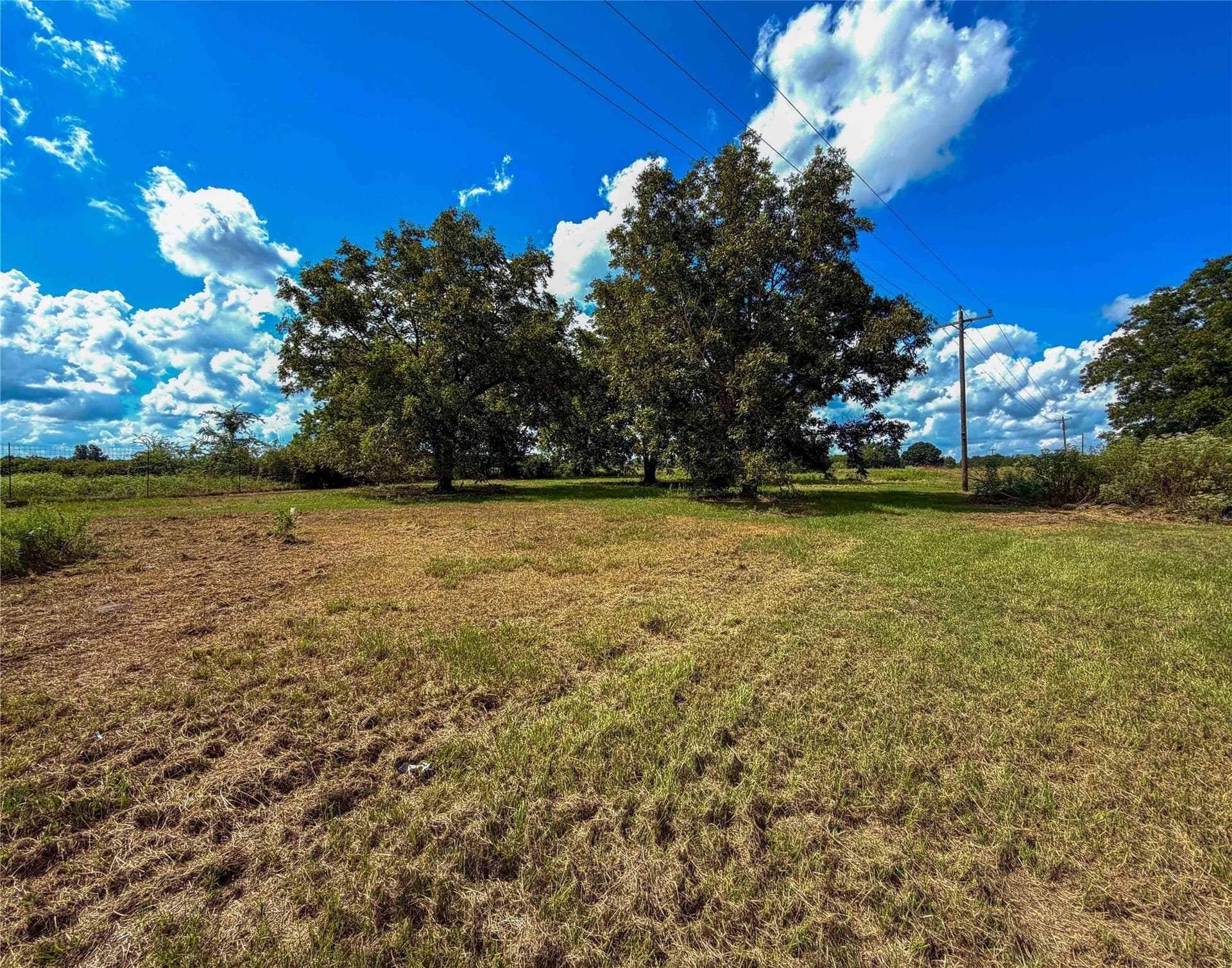 13.66 acres in Houston County - photo 8