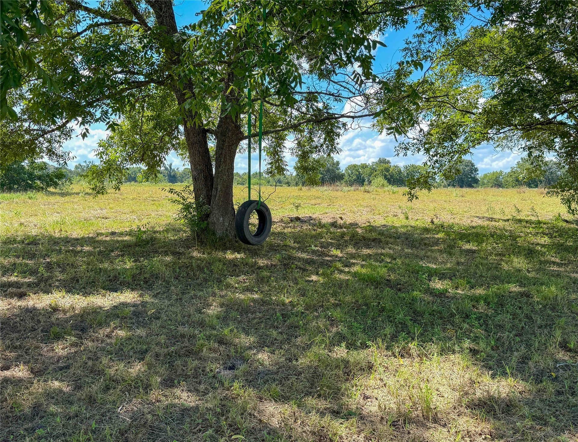 13.66 acres in Houston County - photo 20