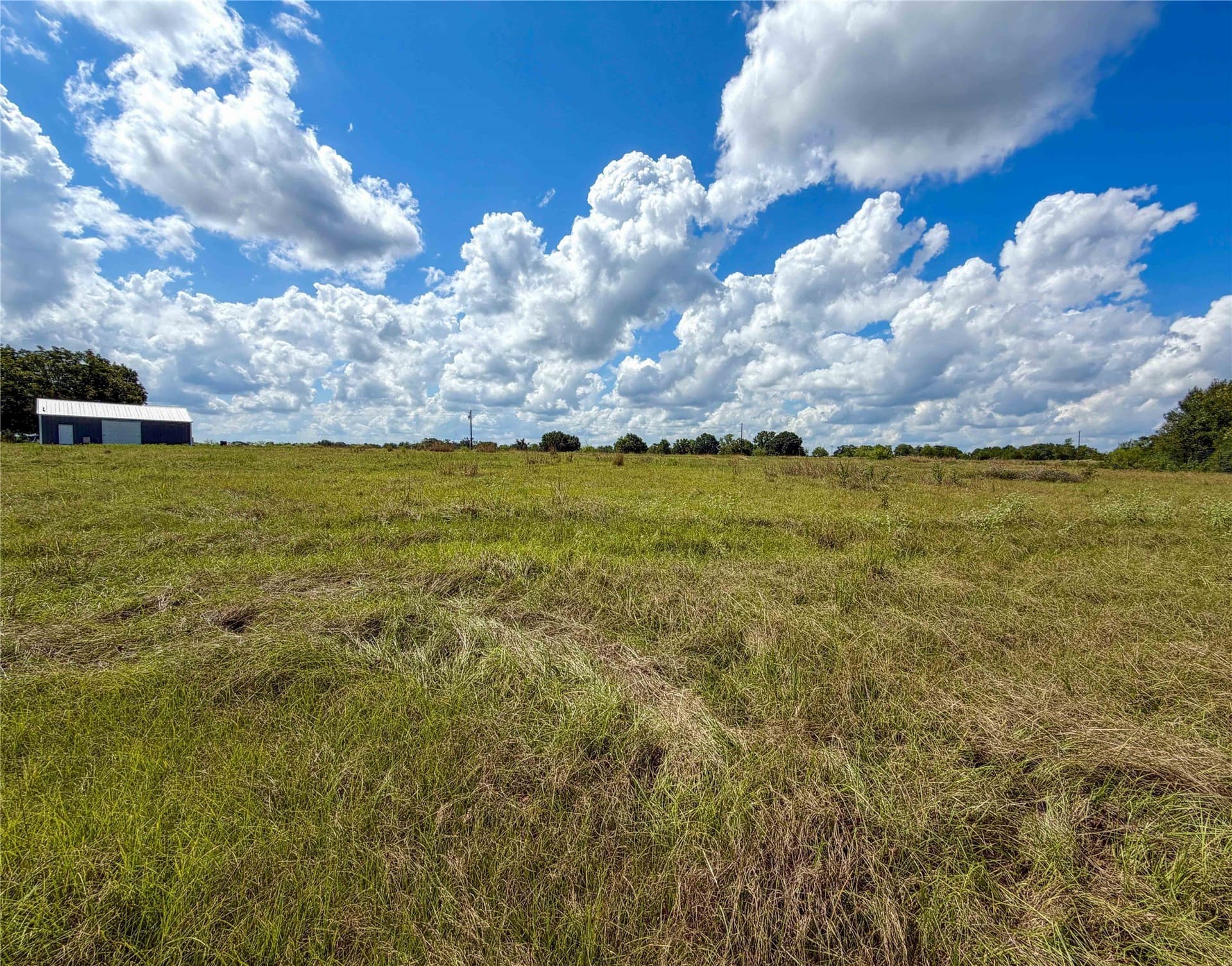 13.66 acres in Houston County - photo 13