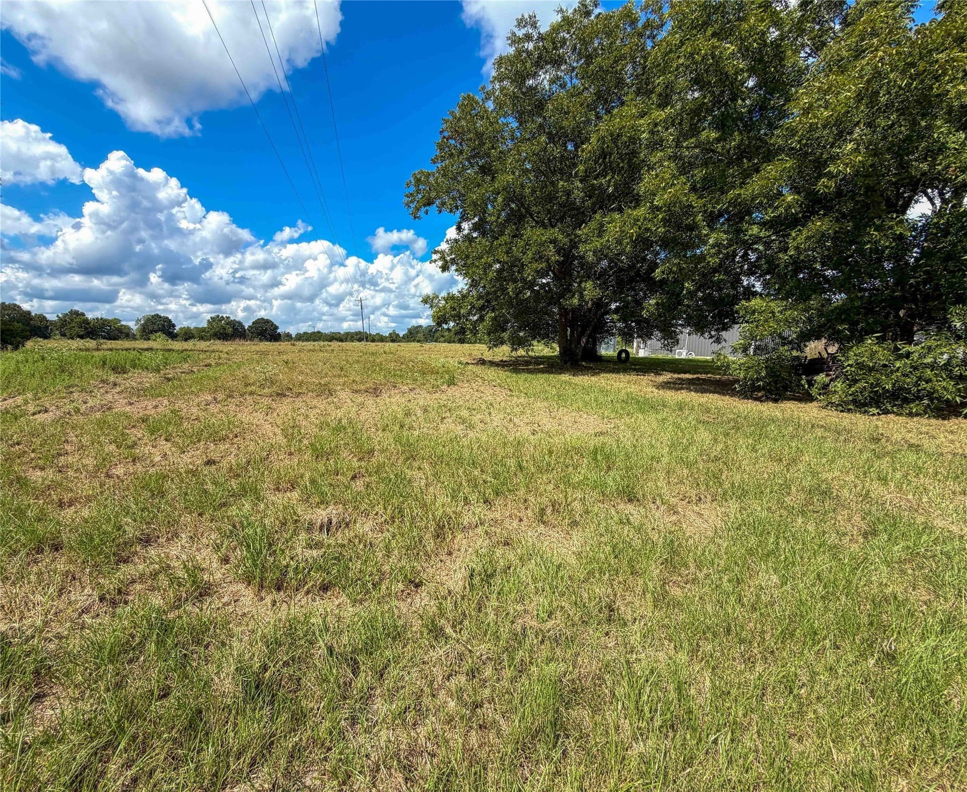 13.66 acres in Houston County - photo 10
