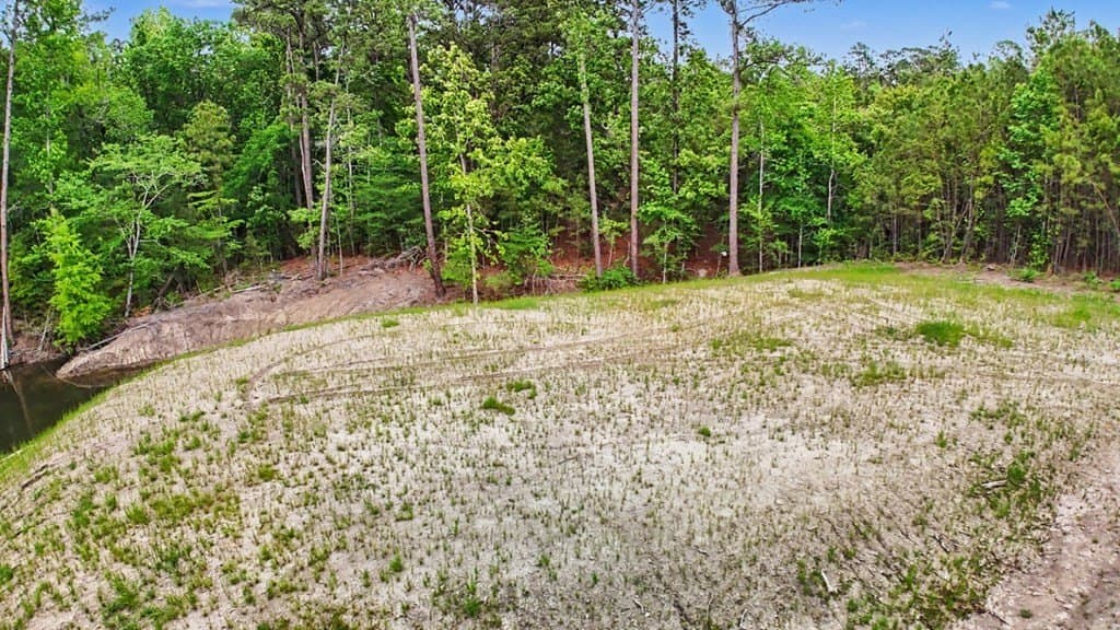 0.96 acres in Texas County - photo 9
