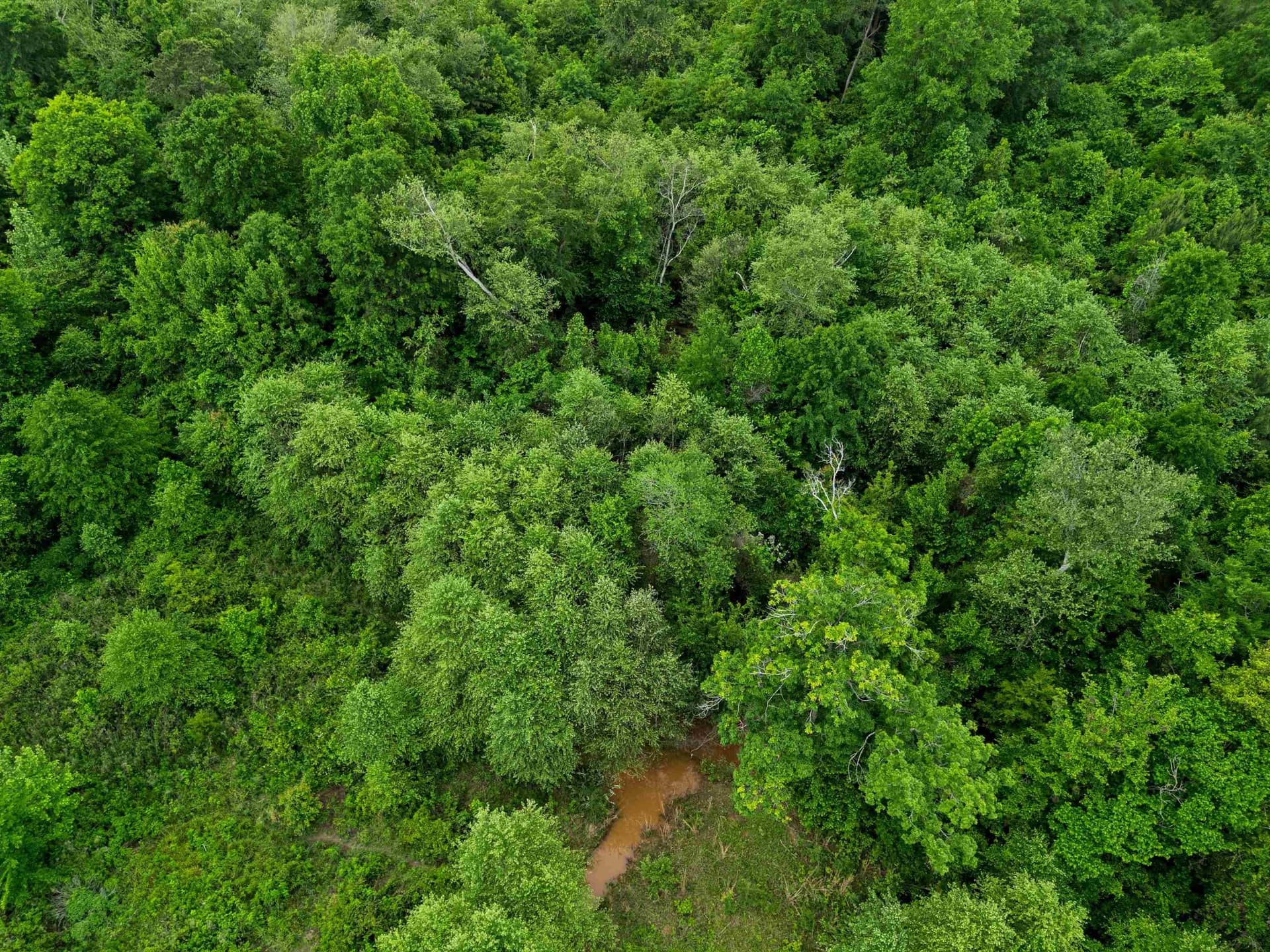 23 acres in Upshur County - photo 26