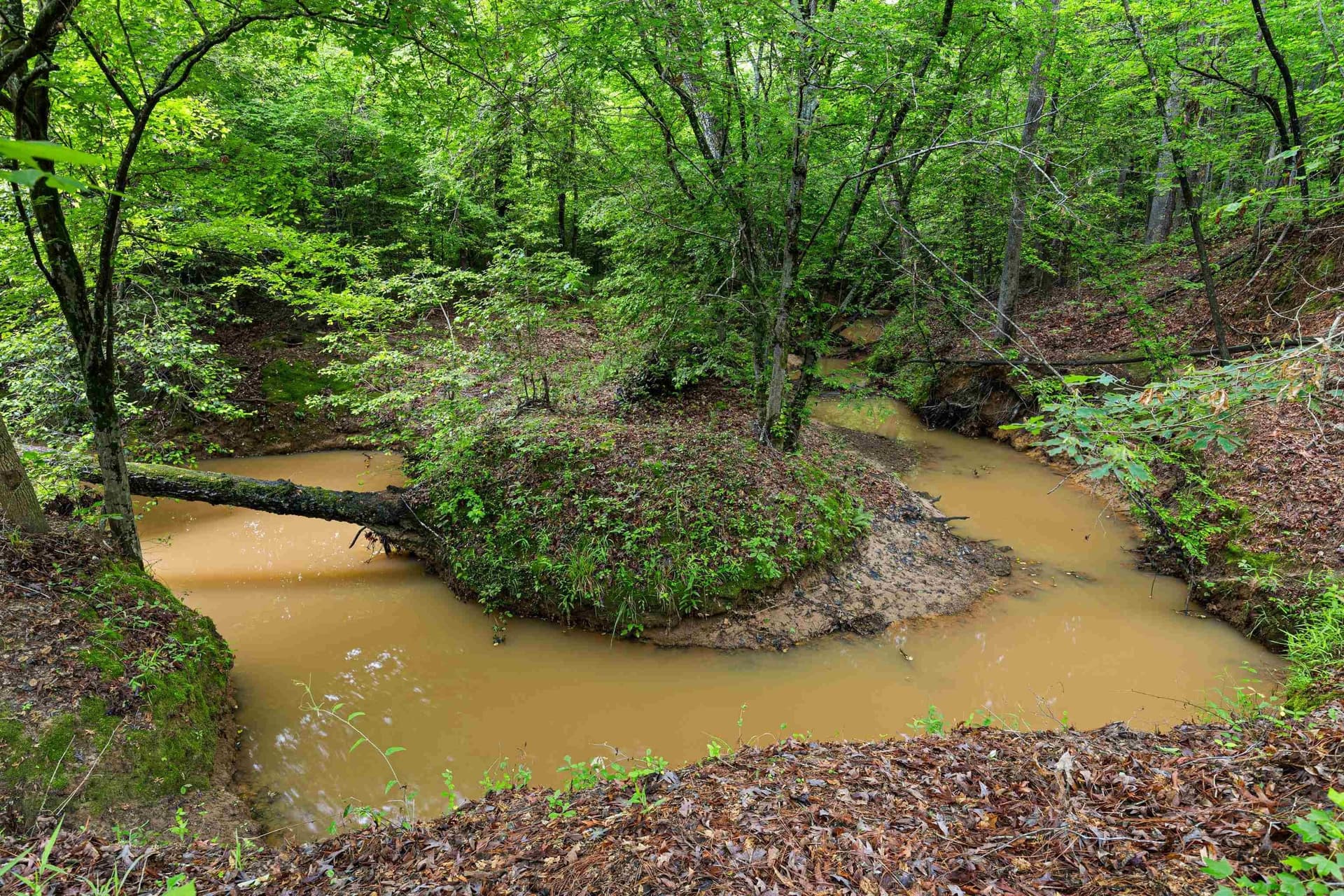 23 acres in Upshur County - photo 31
