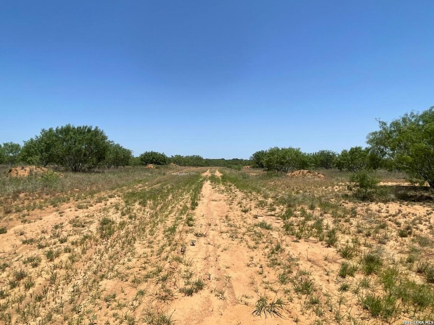 30.32 acres in Medina County gallery image 4