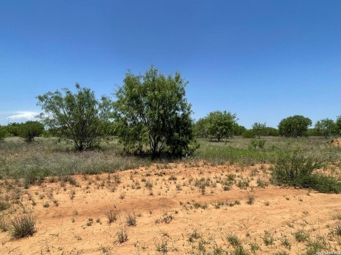 30.32 acres in Medina County gallery image 2