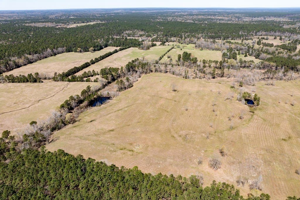 40 acres in HOUSTON County gallery image 2