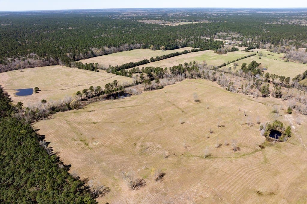 40 acres in HOUSTON County gallery image 3
