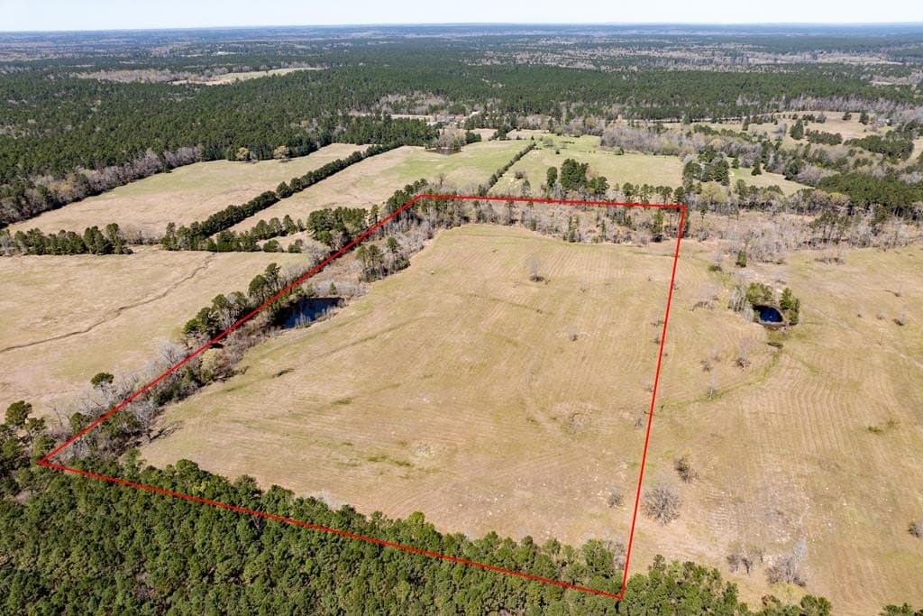 40 acres in HOUSTON County