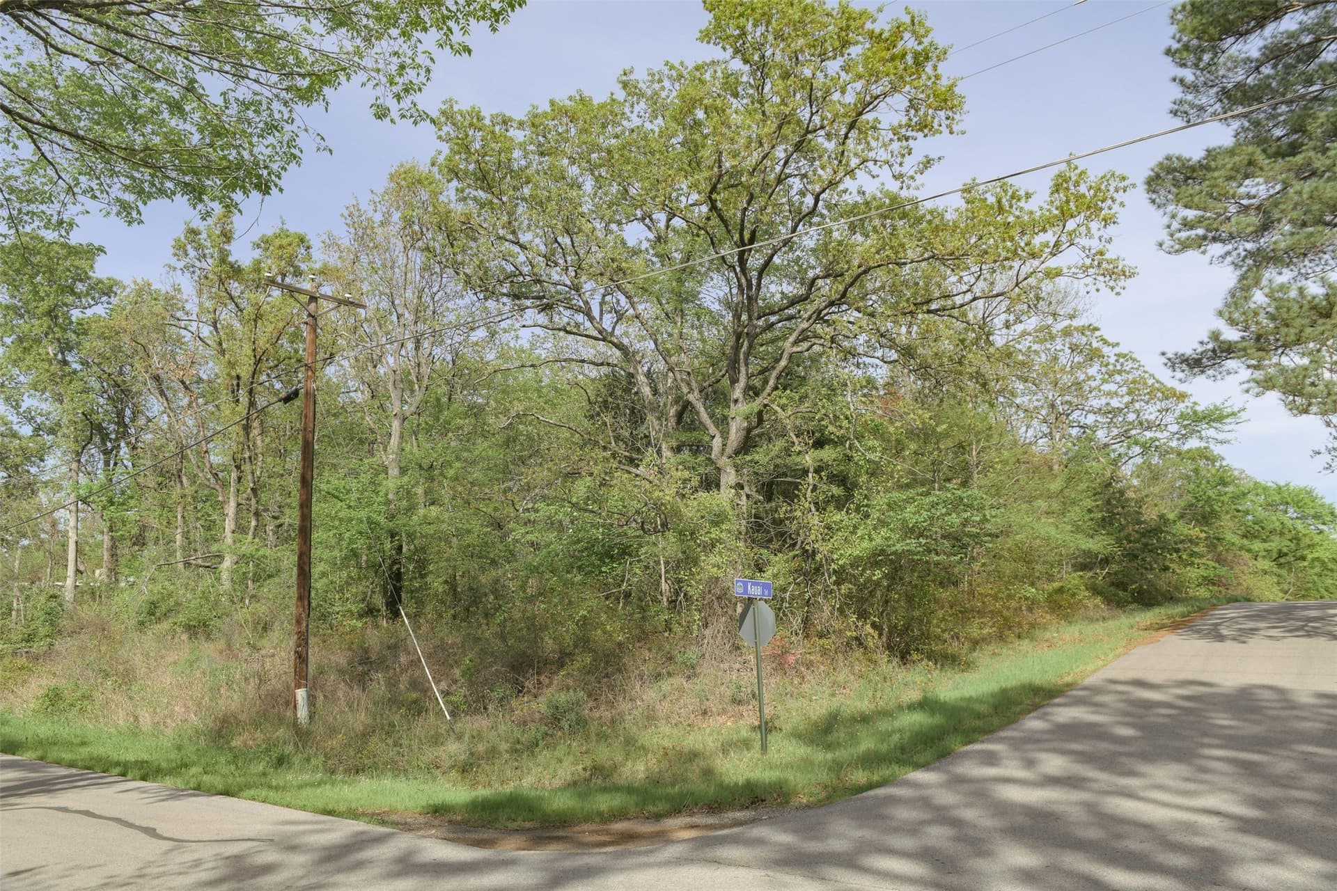 0.23 acres in Henderson County - photo 19