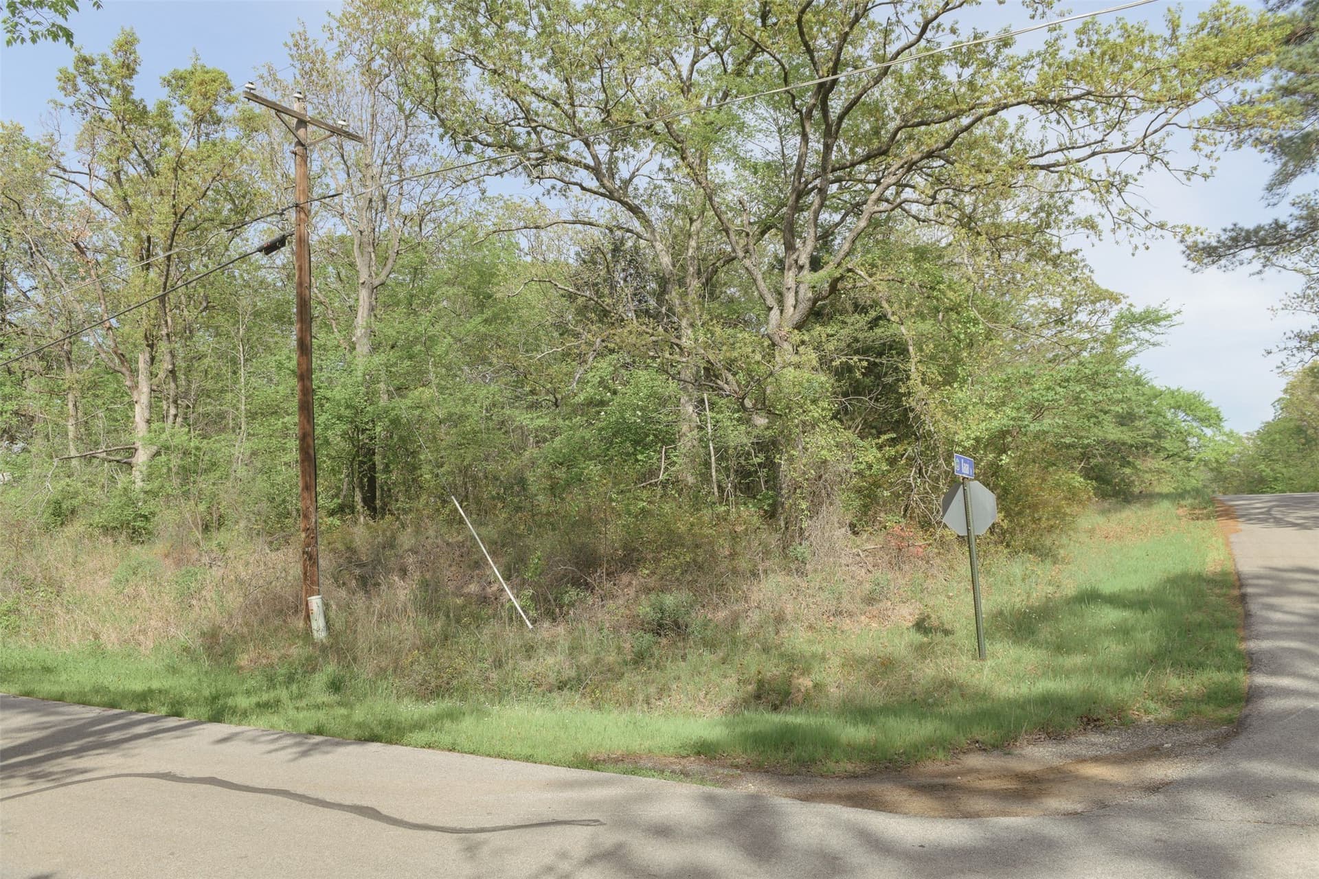 0.23 acres in Henderson County - photo 22