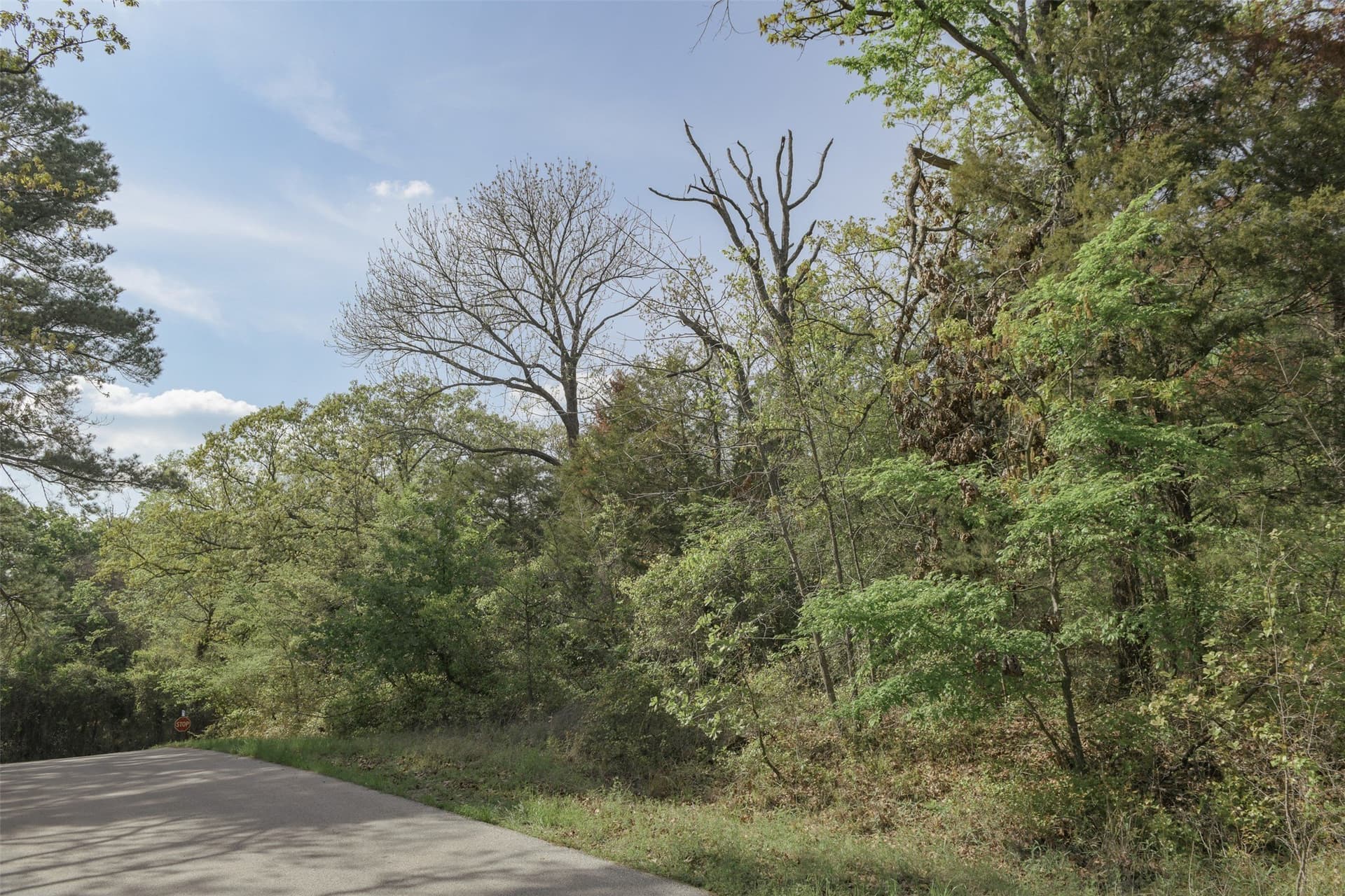 0.23 acres in Henderson County - photo 17