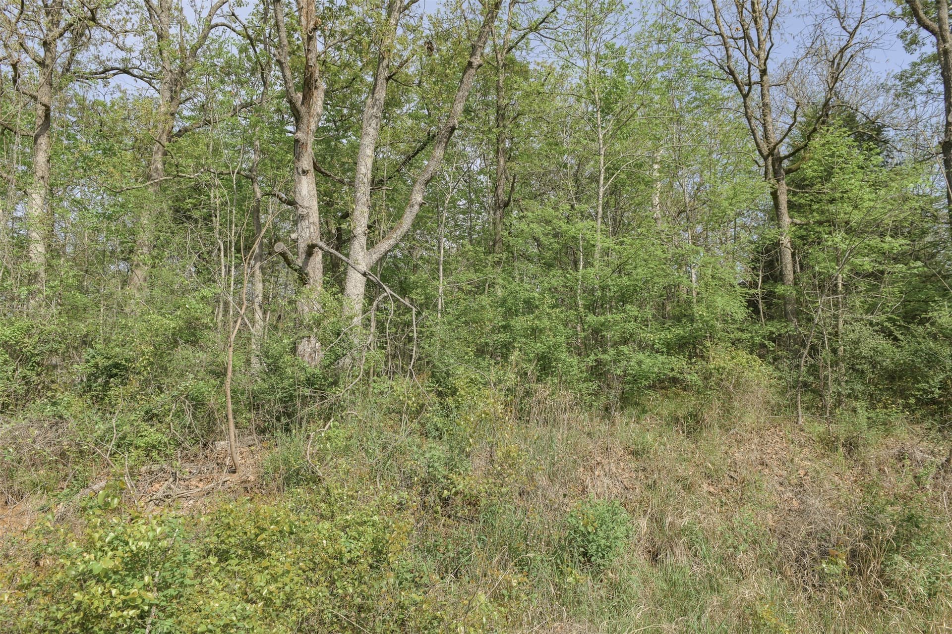 0.23 acres in Henderson County - photo 25