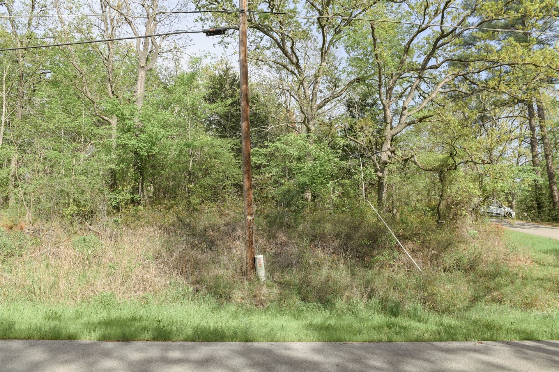 0.23 acres in Henderson County - photo 23