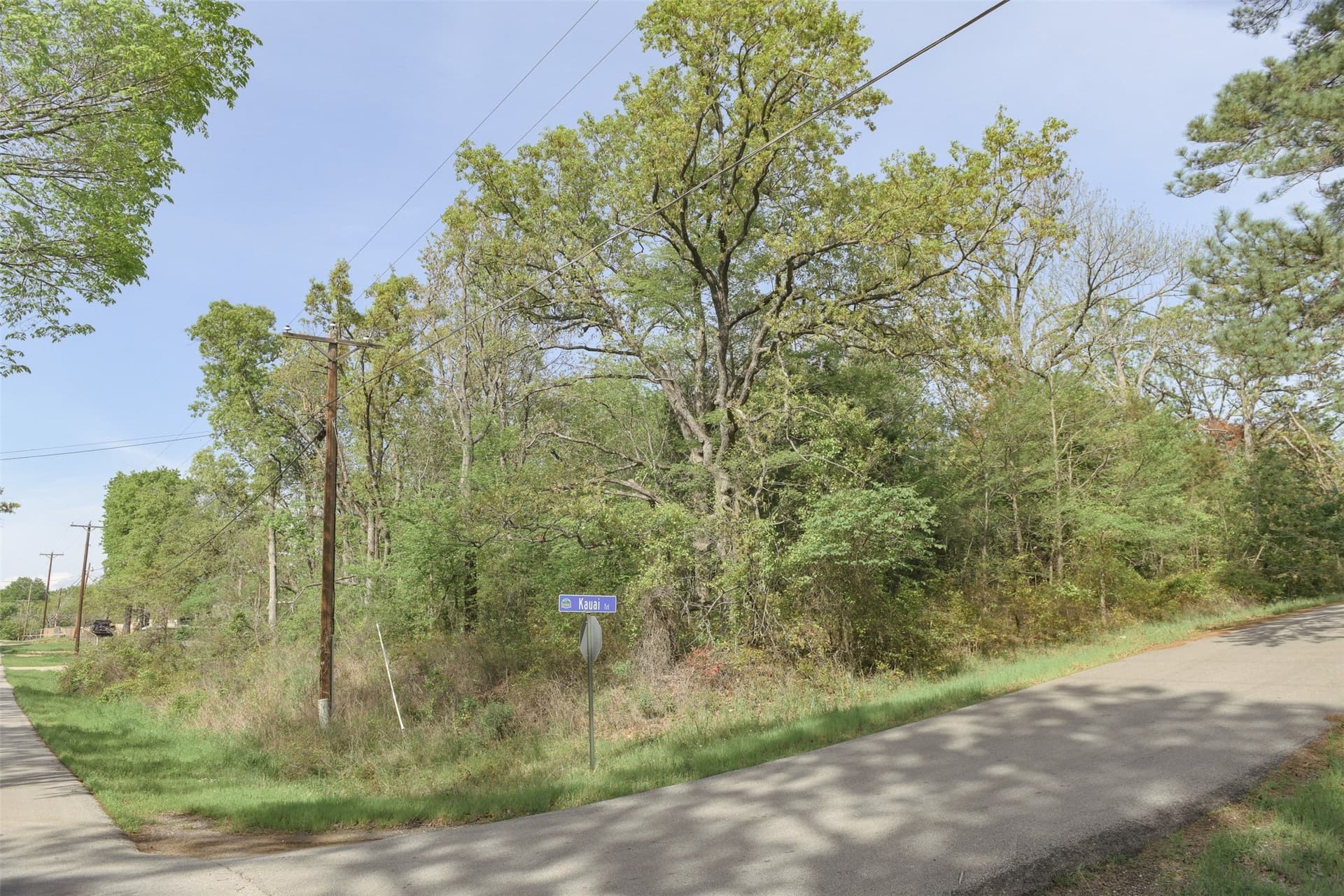 0.23 acres in Henderson County - photo 15