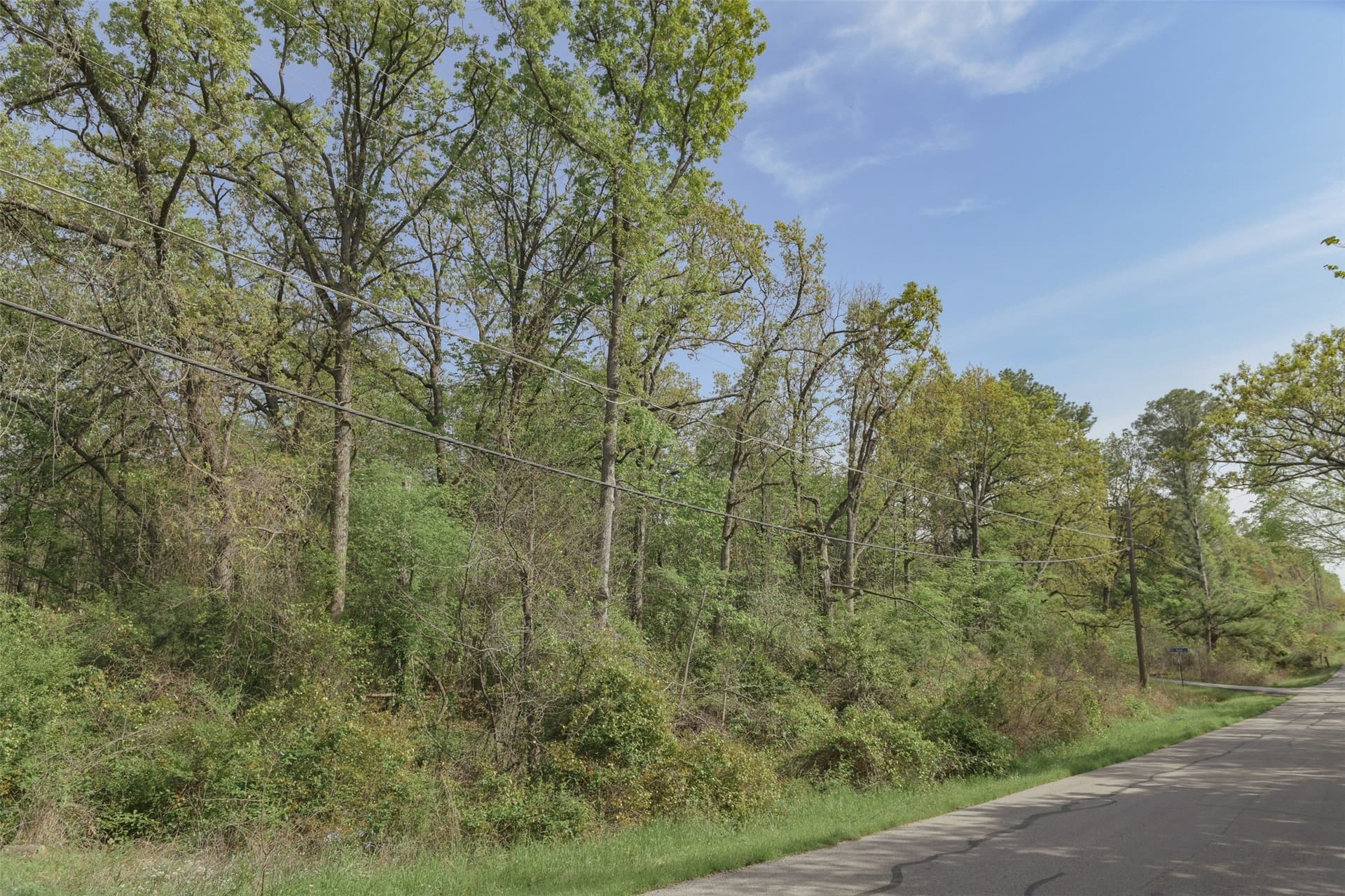 0.23 acres in Henderson County - photo 24
