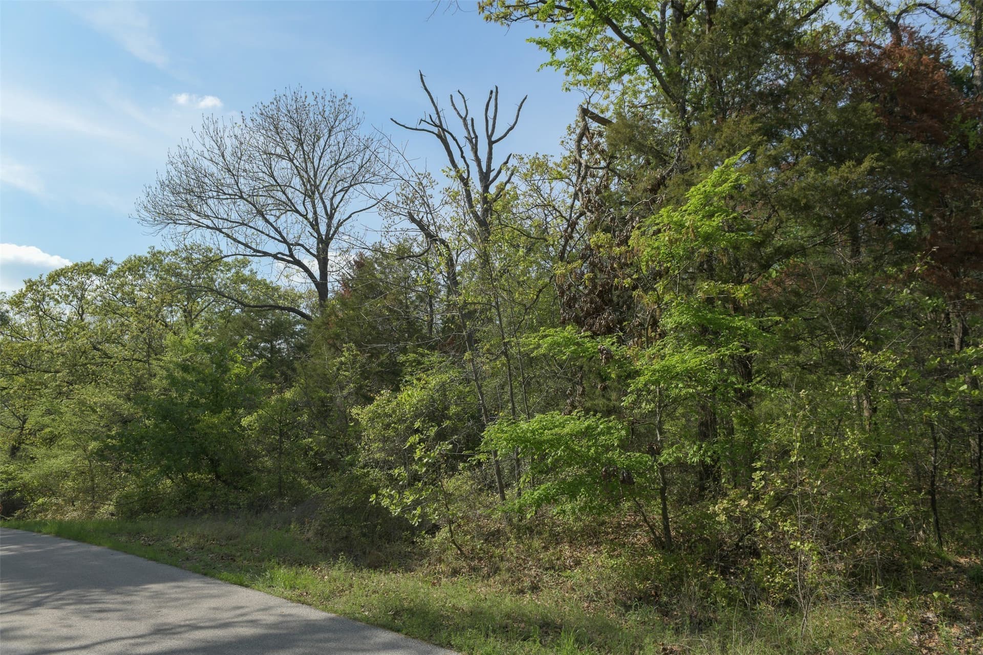 0.23 acres in Henderson County - photo 16