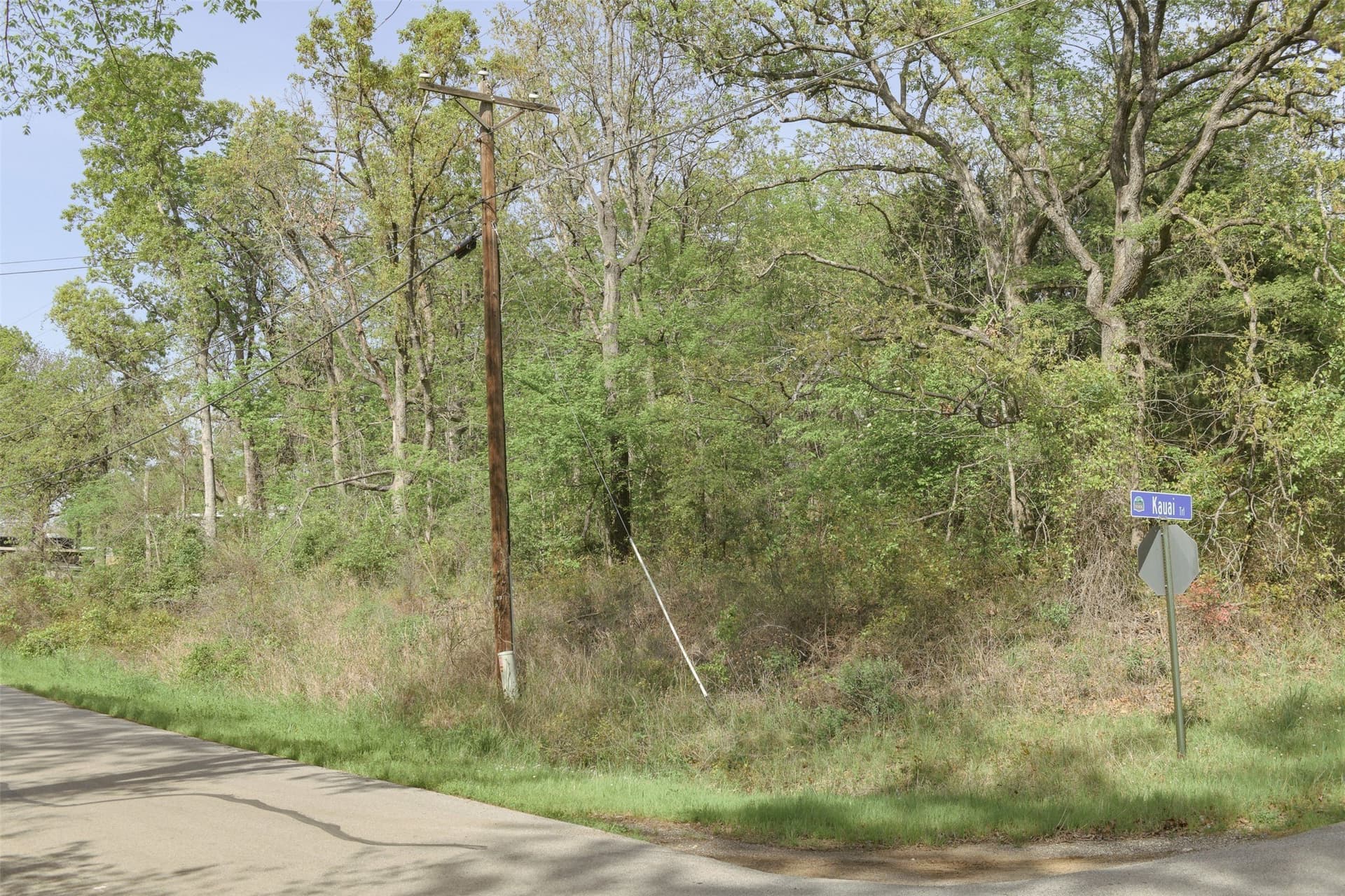 0.23 acres in Henderson County - photo 21