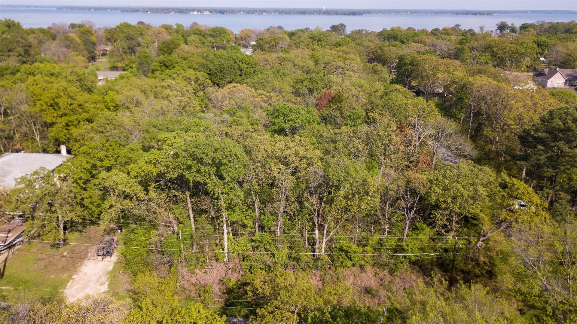 0.23 acres in Henderson County - photo 6