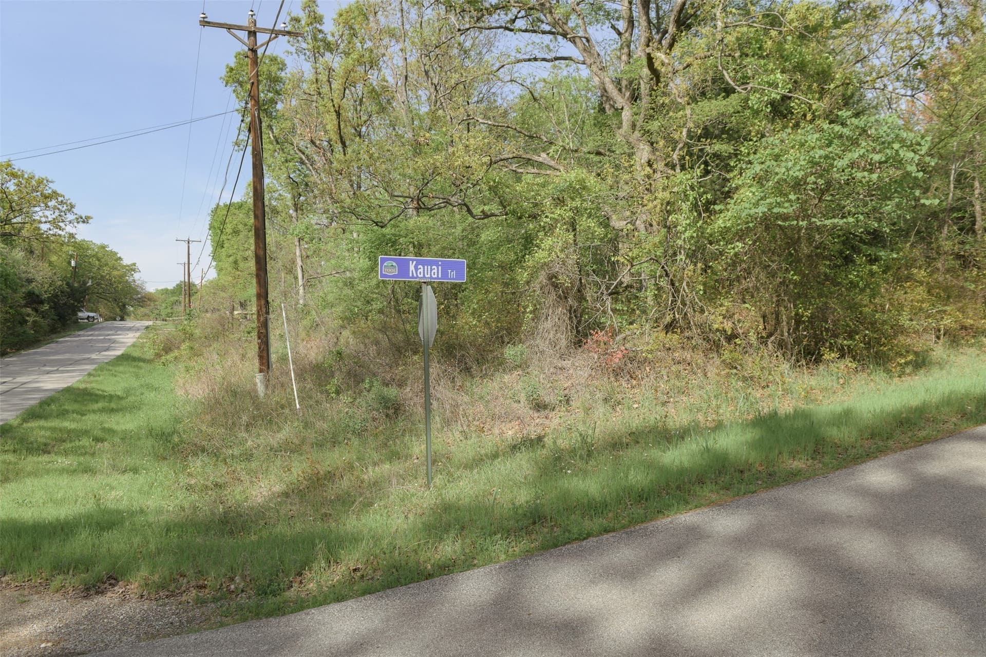 0.23 acres in Henderson County - photo 26