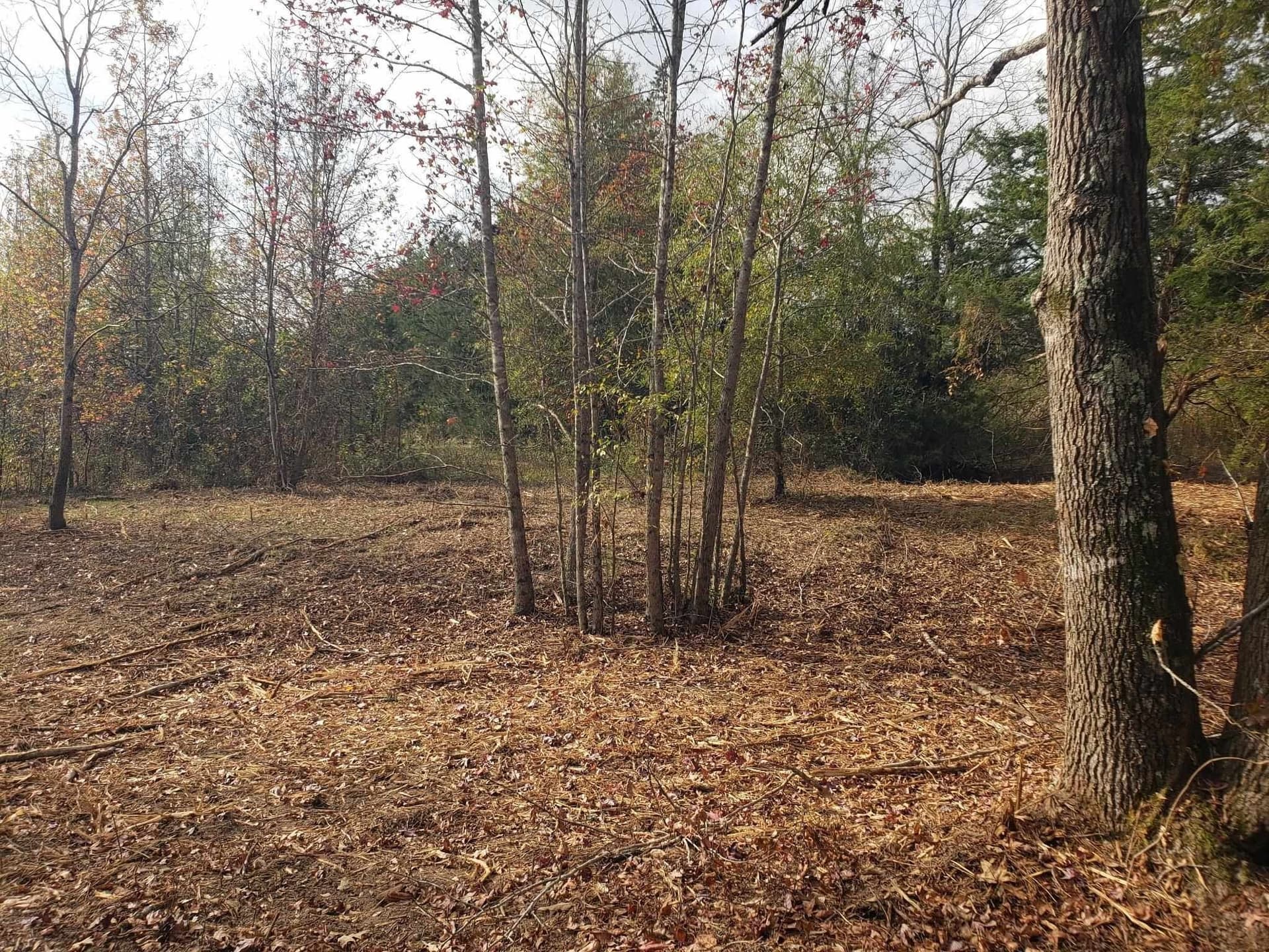 10.1 acres in Panola County featured view