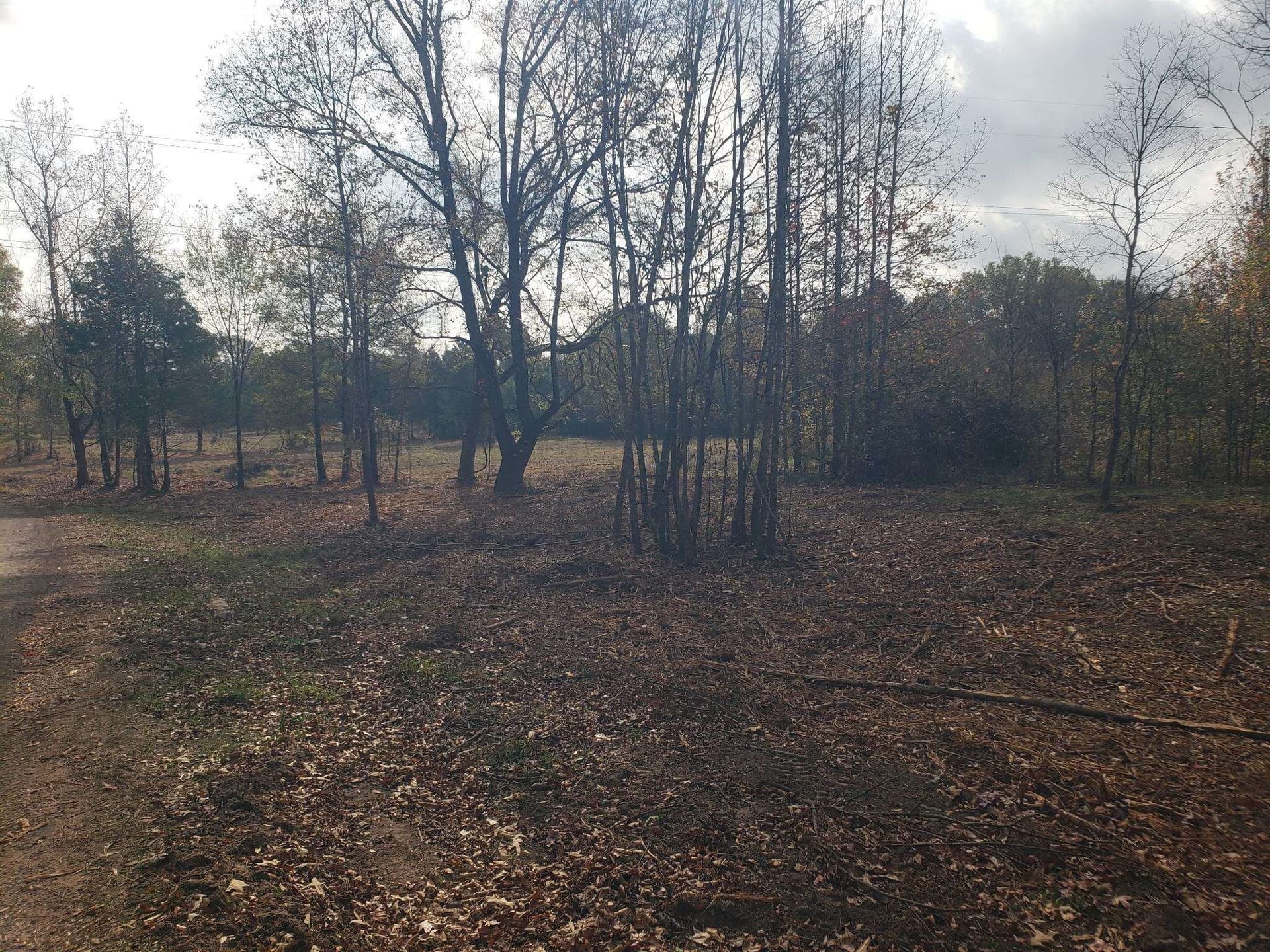 10.1 acres in Panola County gallery image 4