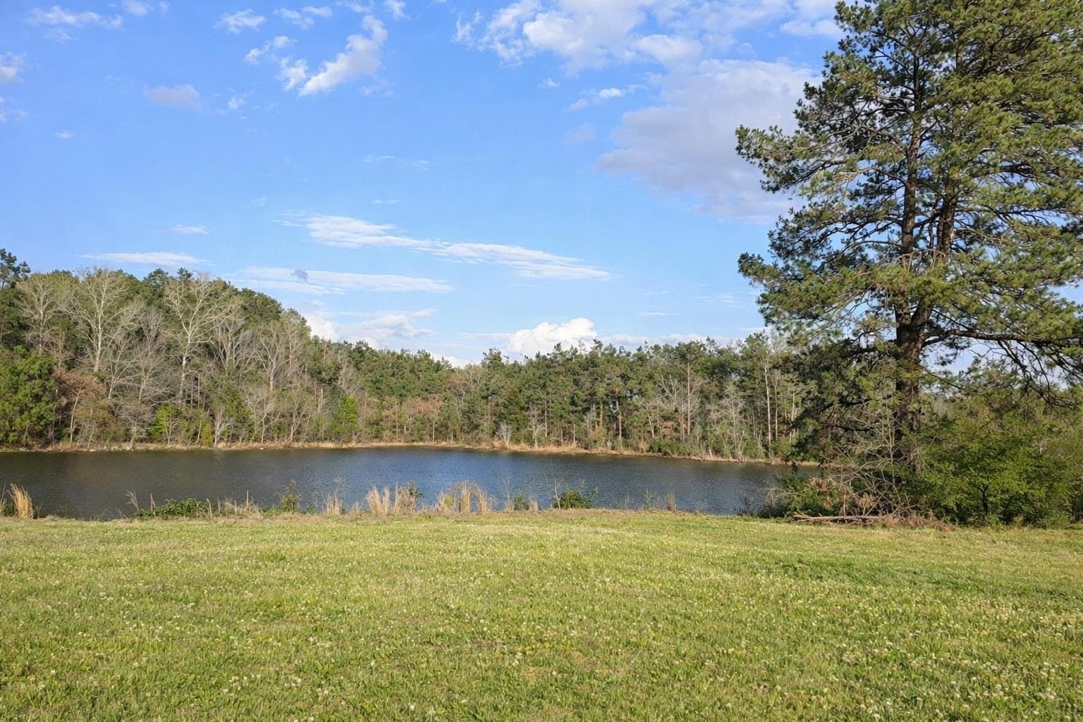 22 acres in Panola County - photo 21