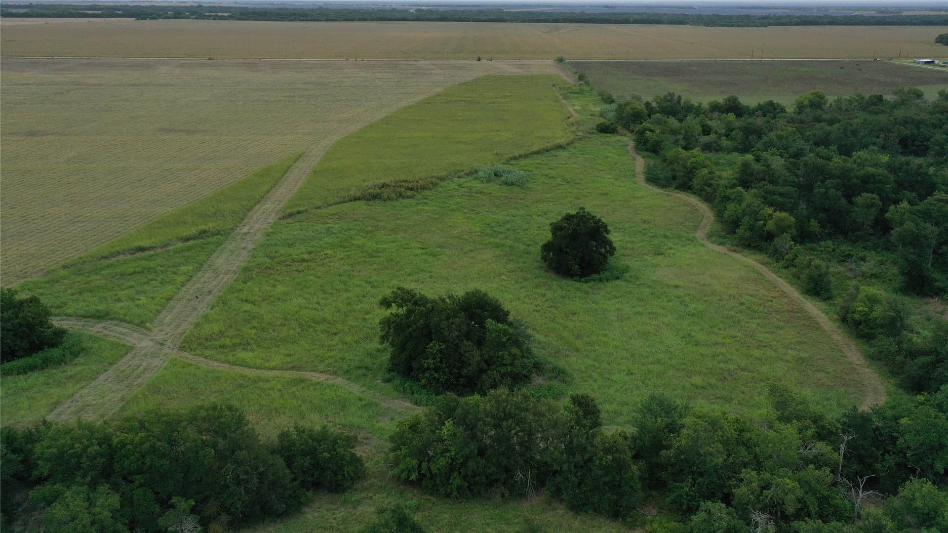 7 acres in Falls County gallery image 4