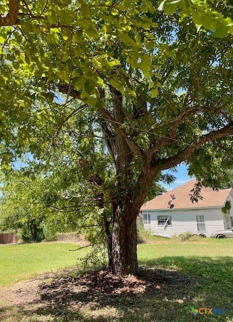 0.26 acres in Milam County - photo 5