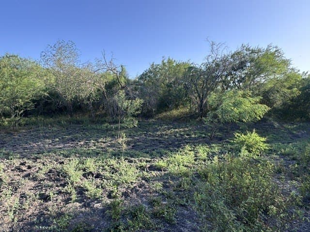 2.63 acres in Nueces County - photo 14