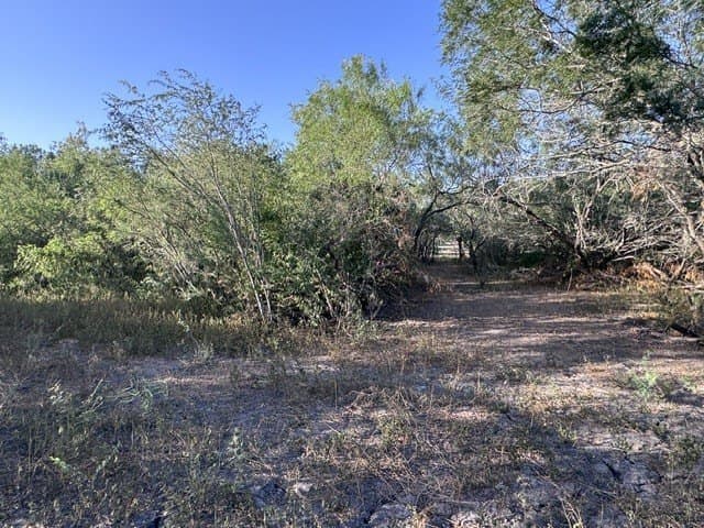 2.63 acres in Nueces County - photo 16