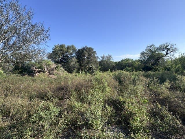2.63 acres in Nueces County - photo 13
