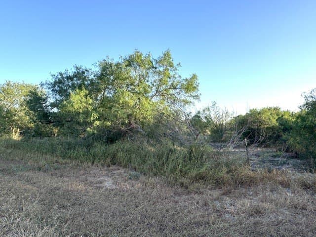 2.63 acres in Nueces County - photo 2